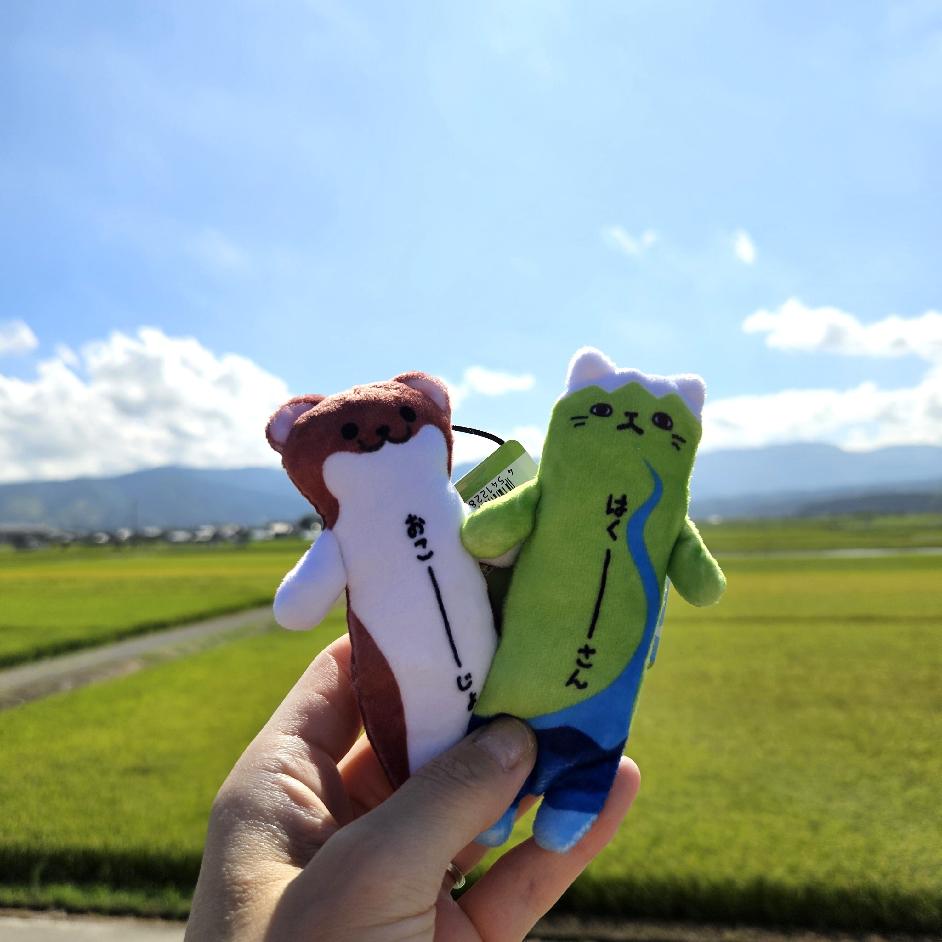 のびねこ・のびしば | 友禅工芸すずらん online shop
