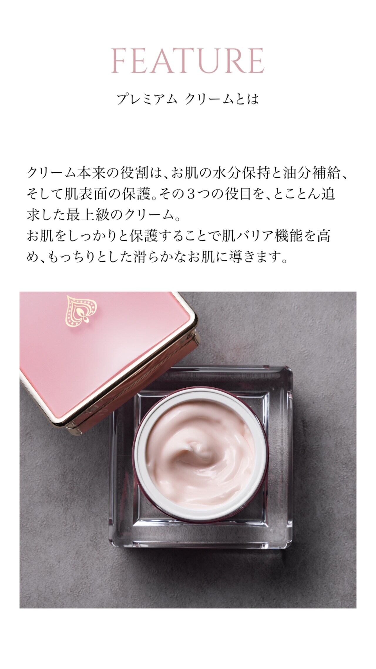 Rembo プレミアムレチノールクリーム 29g Rembo プレミアムレチノール