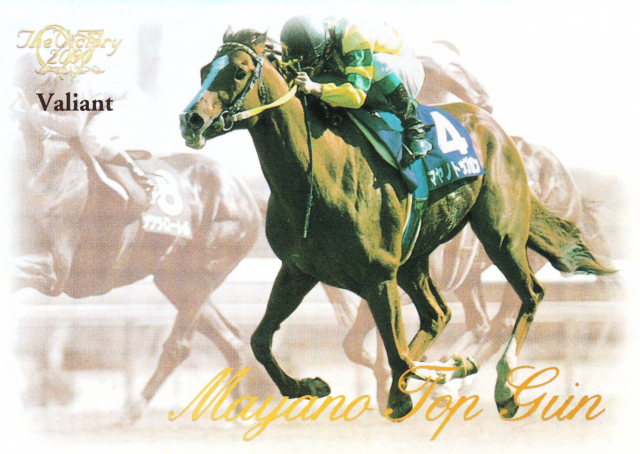 The Victory 2000 | カードショップ うるま屋