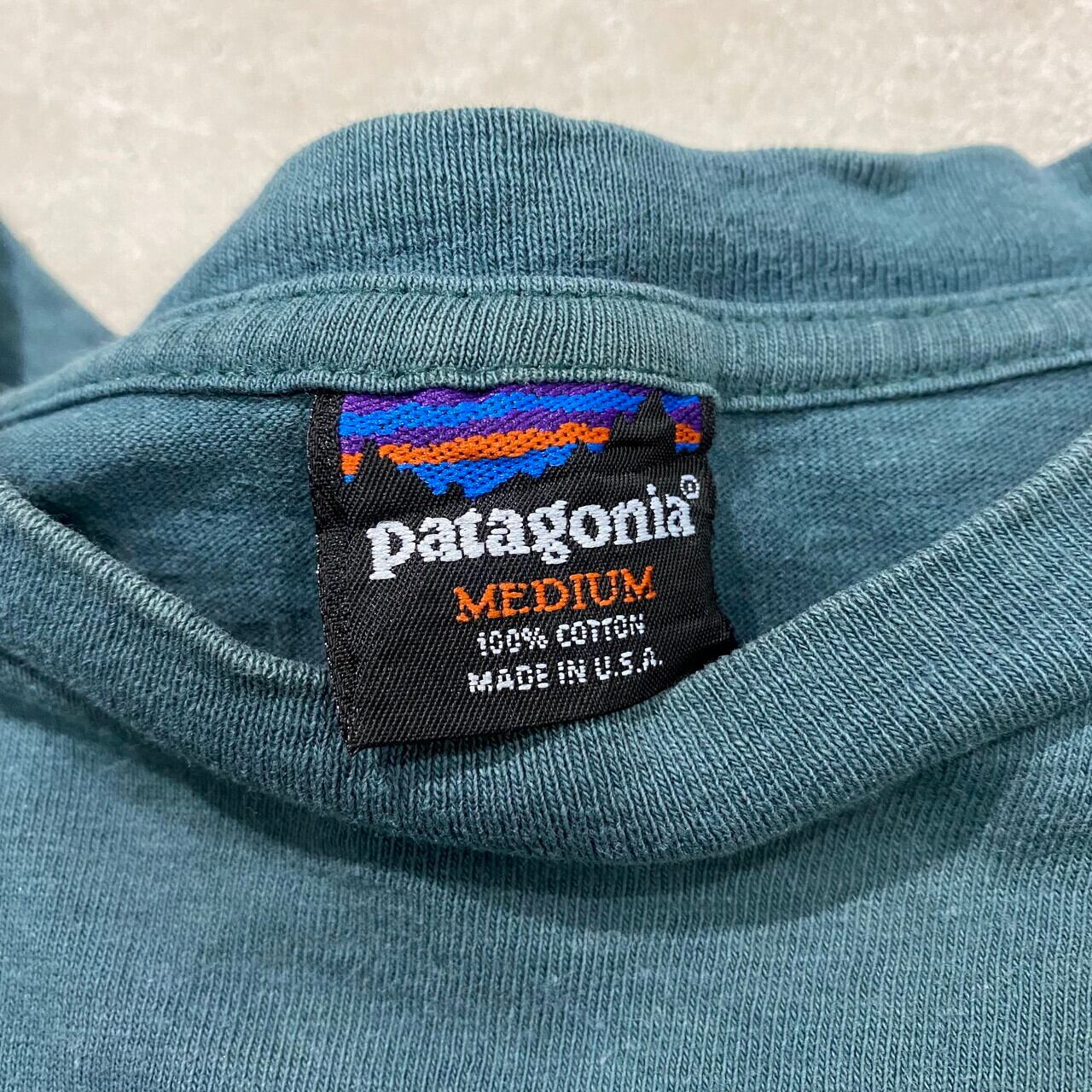 90年代 USA製 patagonia パタゴニア 雪なしタグ バックプリント T