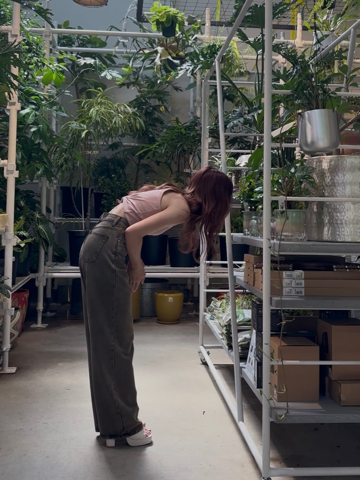 TWWデニム】brown | 2(g+c)