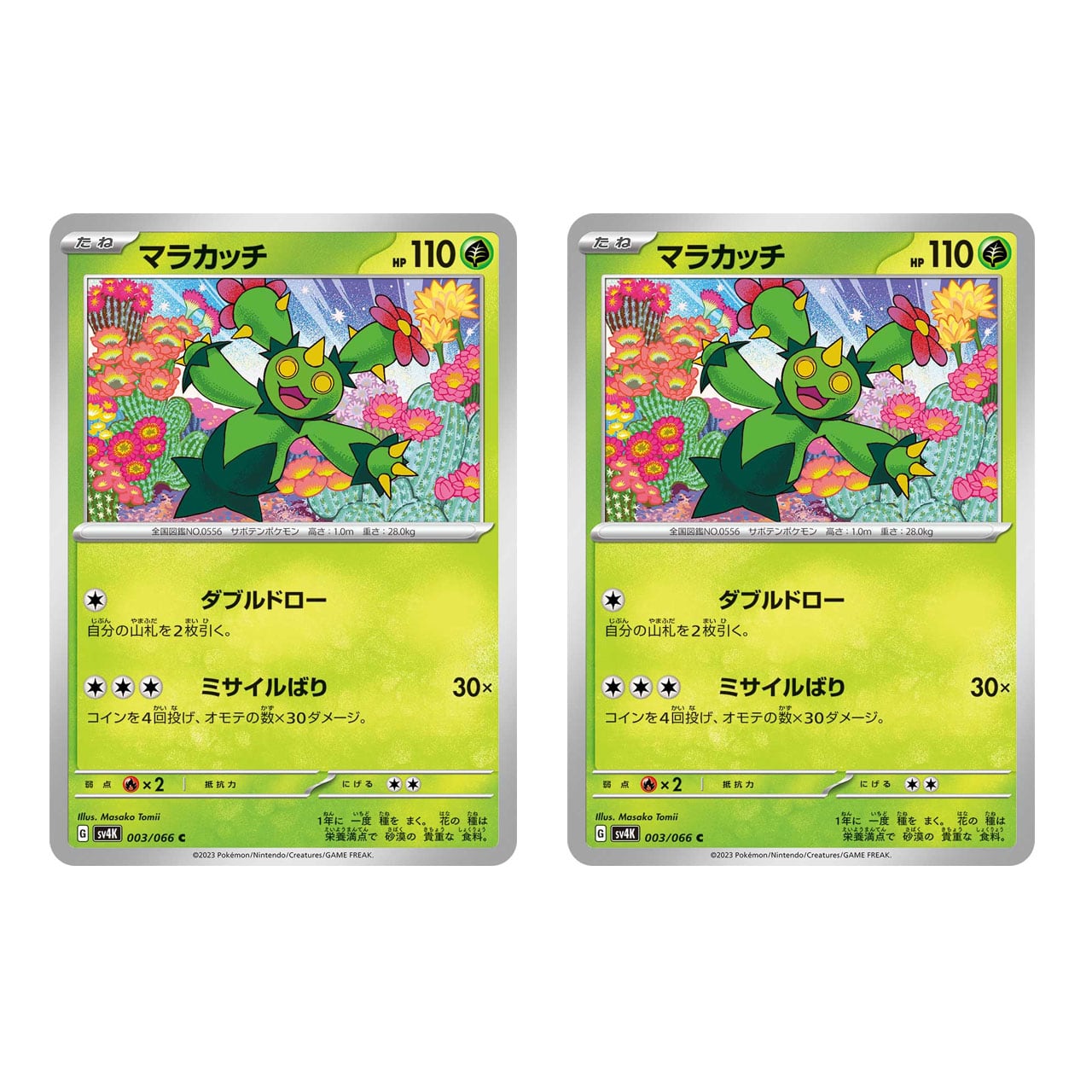 マラカッチ C SV4K 003/066 2枚セット | ポケモンカード専門店 Cobalt Cave