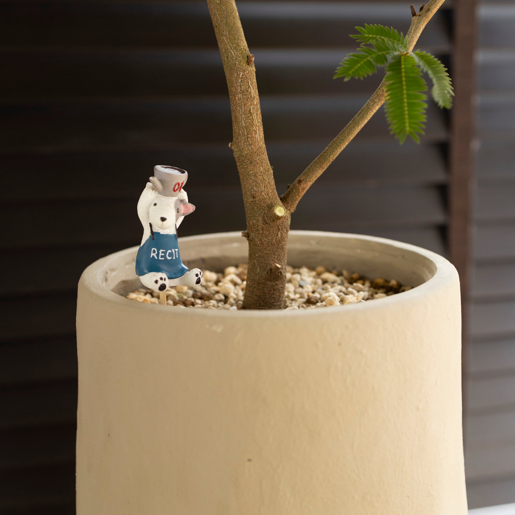 エバーフレッシュ 7号 陶器鉢 盆栽 ピック付き Ever fresh