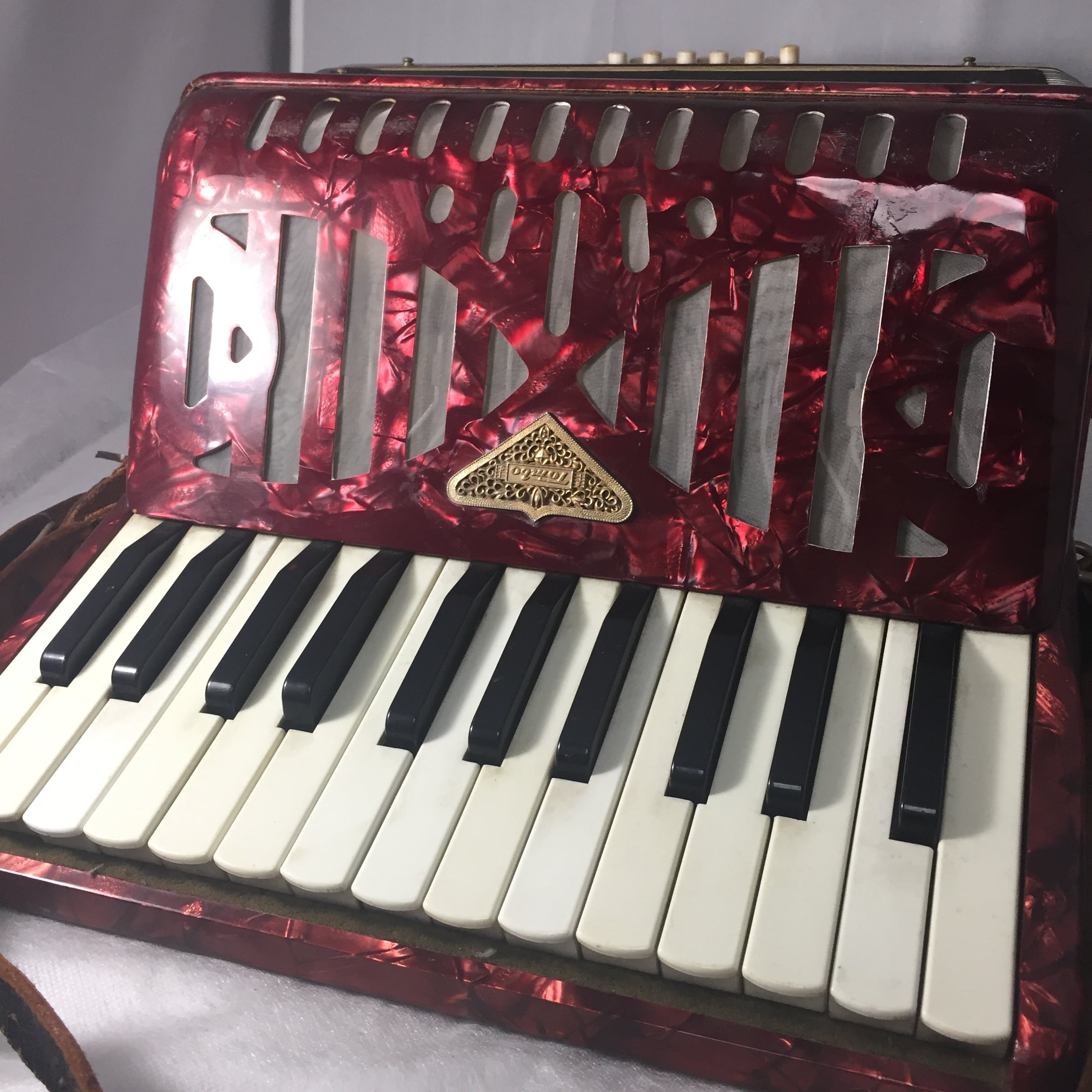 昭和レトロ 金魚柄セルロイド製 トンボ アコーディオン no.28 | 路地裏