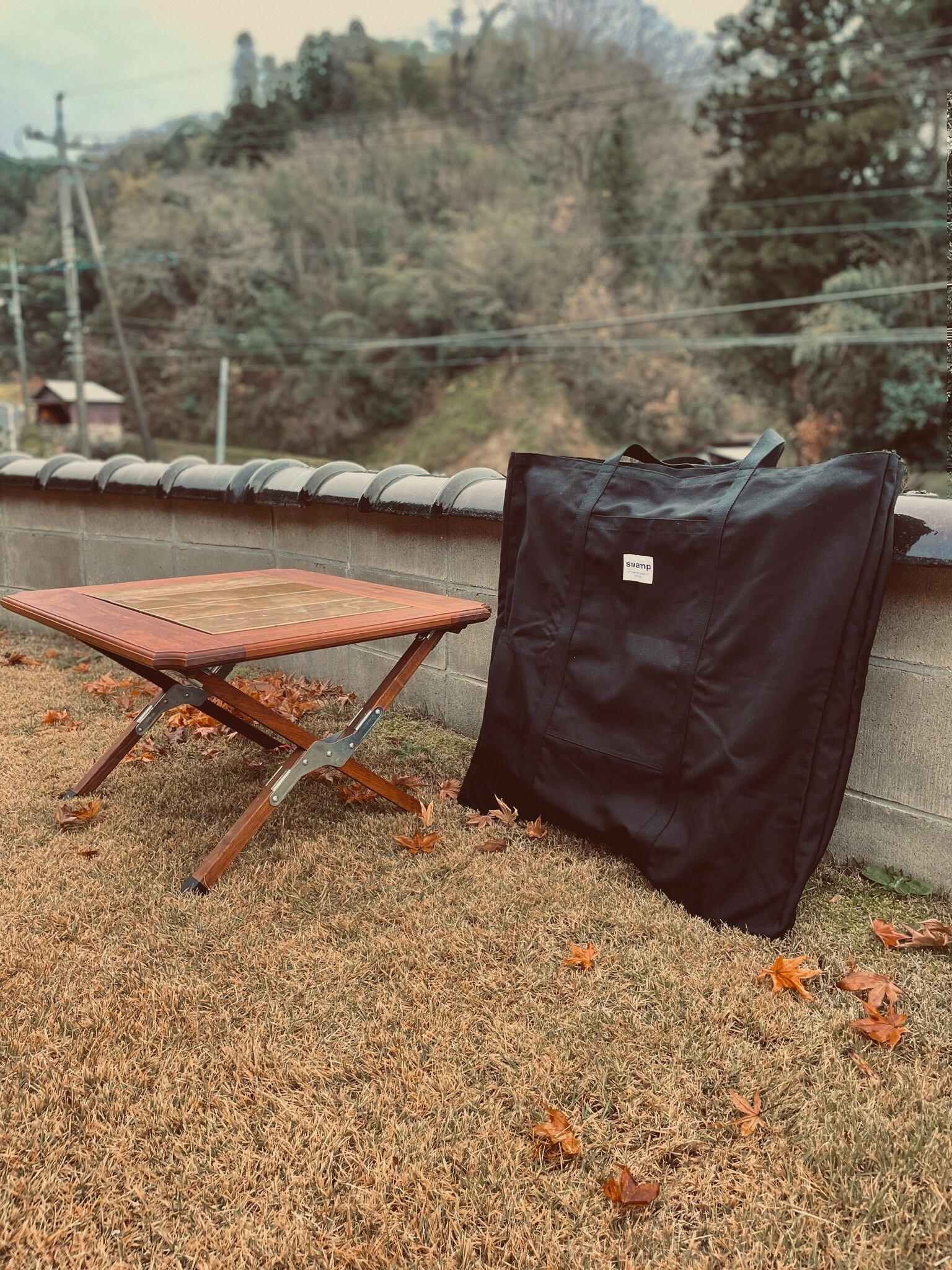 NORA's TABLE CASE | swamp