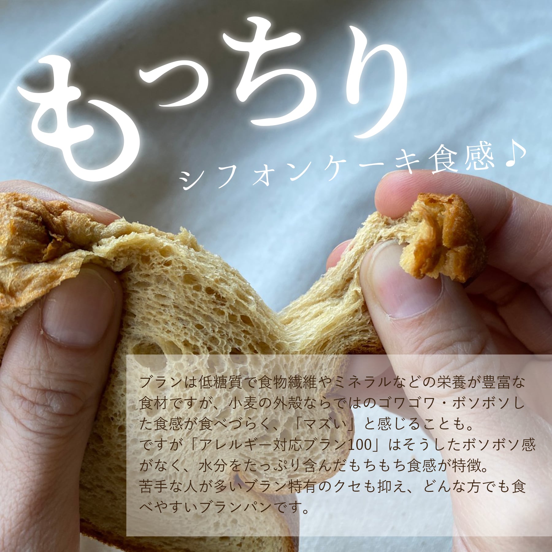 アレルギー対応ブラン100（動物性原料不使用ブラン100）【3本セット