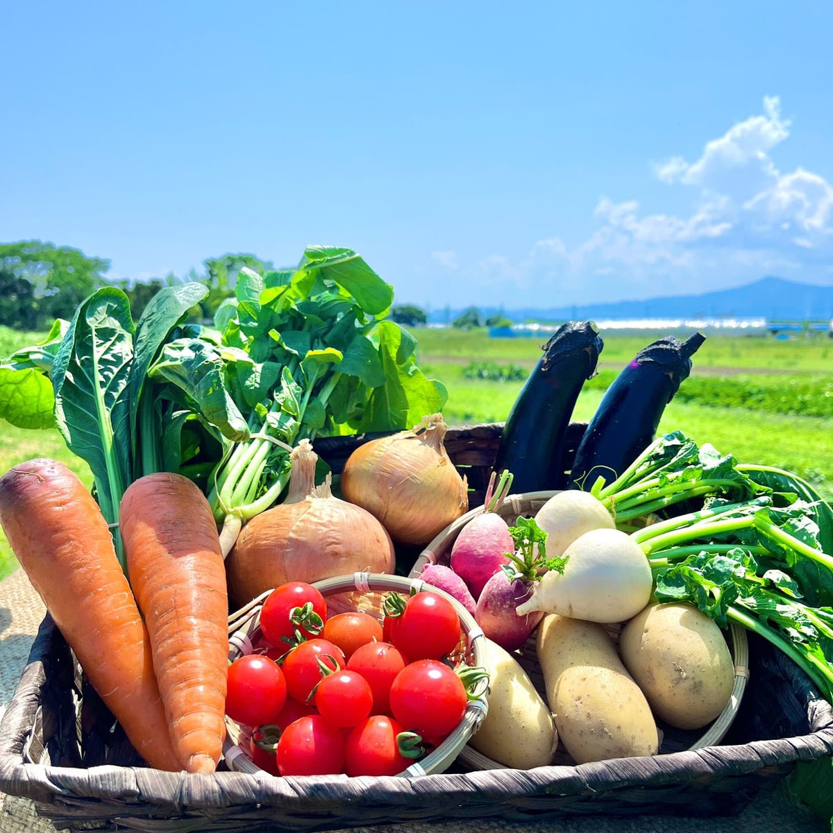 野菜（セット） | トモ農園公式ECサイト