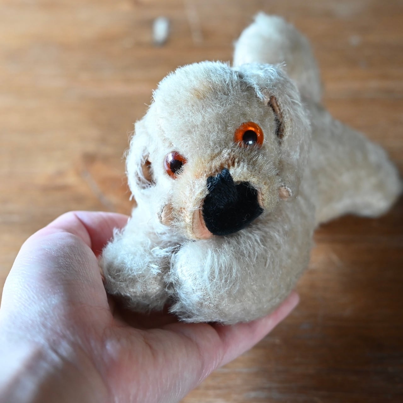 Stuffed Toy / ぬいぐるみ〈 犬・オブジェ・ディスプレイ