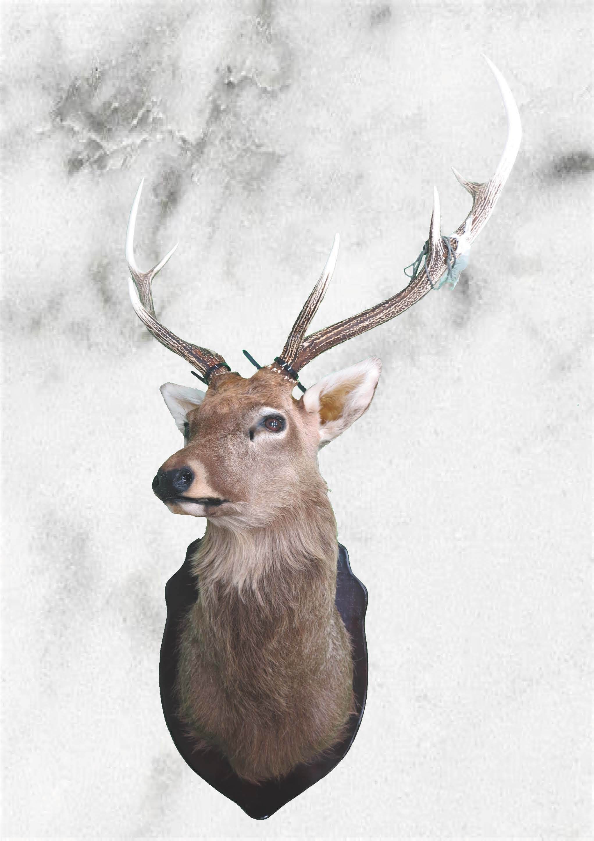 3c32061ebd79e76bf1a8d76fc0e6f2