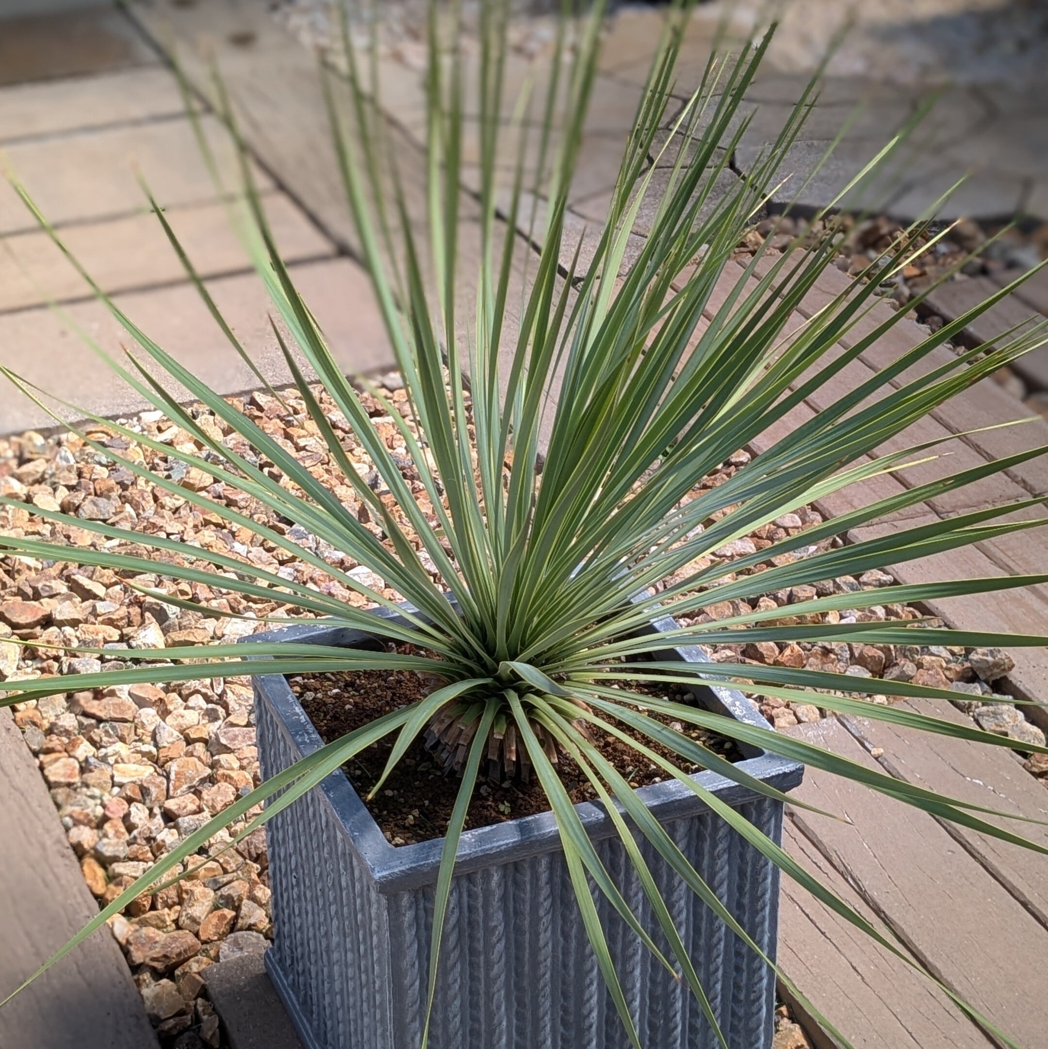 a566b0b5143870d1b3bbb6105d473f