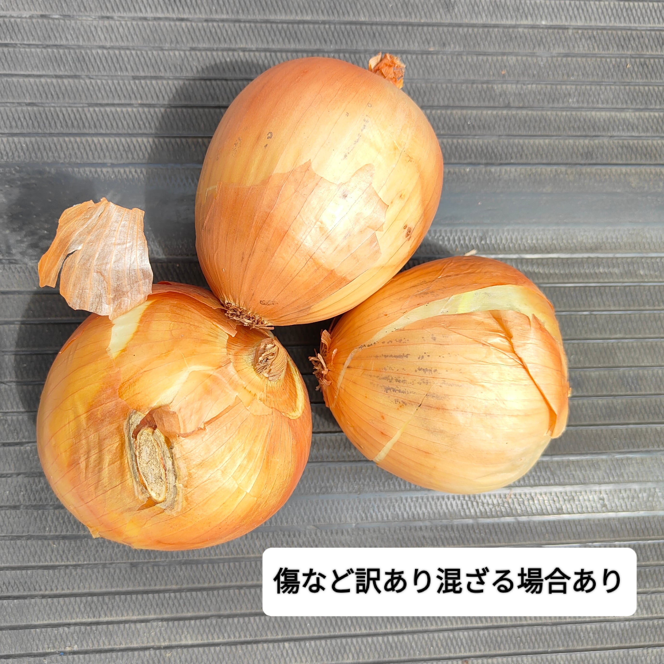 有機栽培玉葱 5kg 淡路島産 JAS認定 オーガニックはなたま たまねぎ