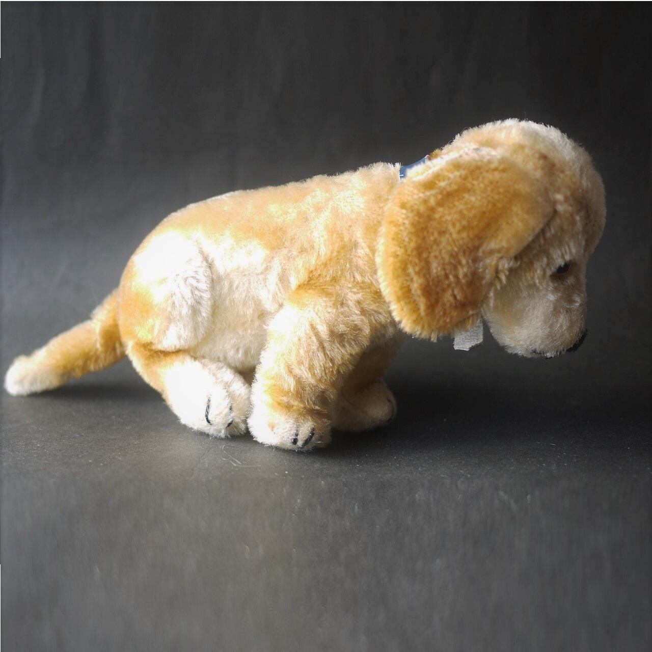 シュタイフ Bazi ダックスフント ドイツ STEIFF | こりすのパン屋Base