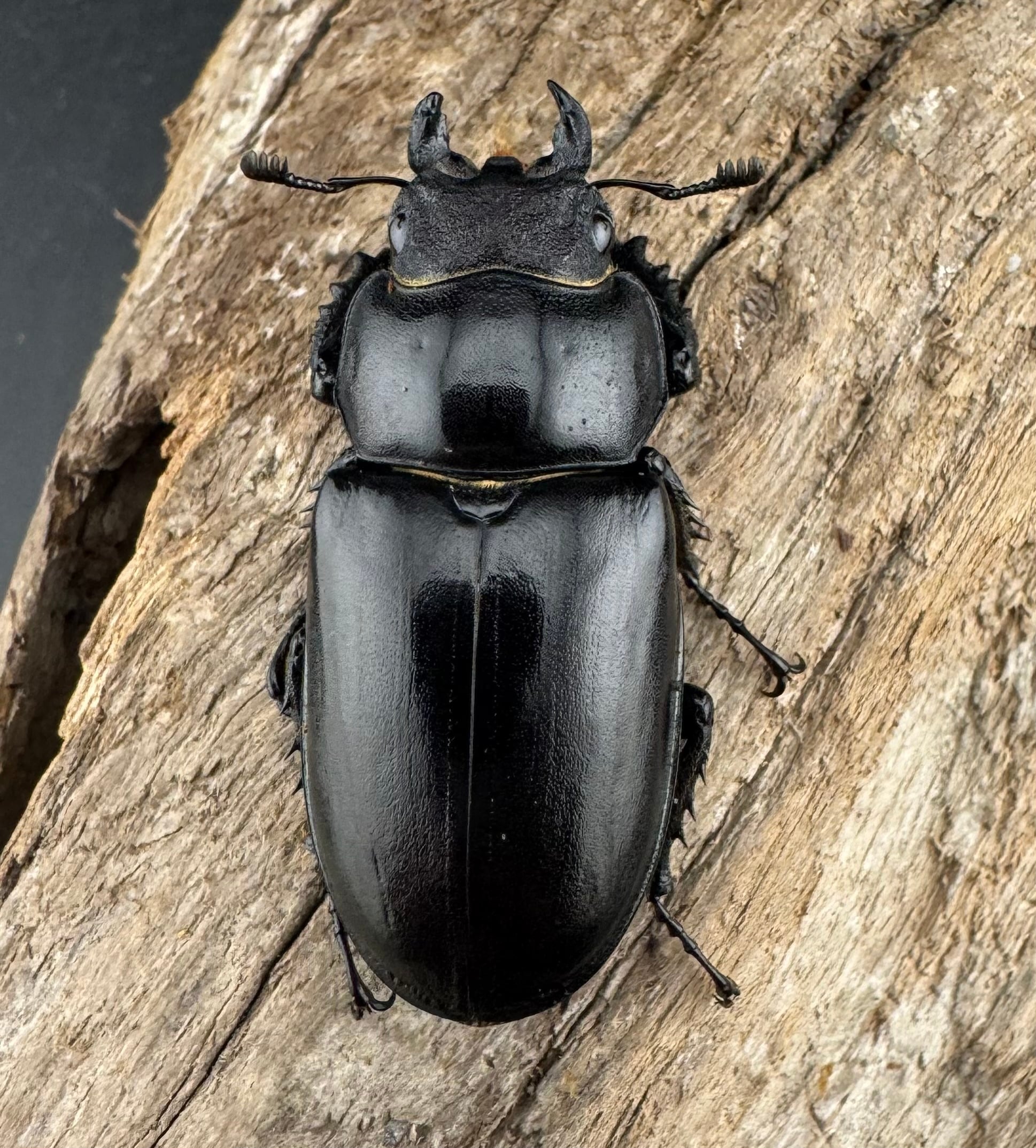 bb9de9d8b40939557deefa5e29a744