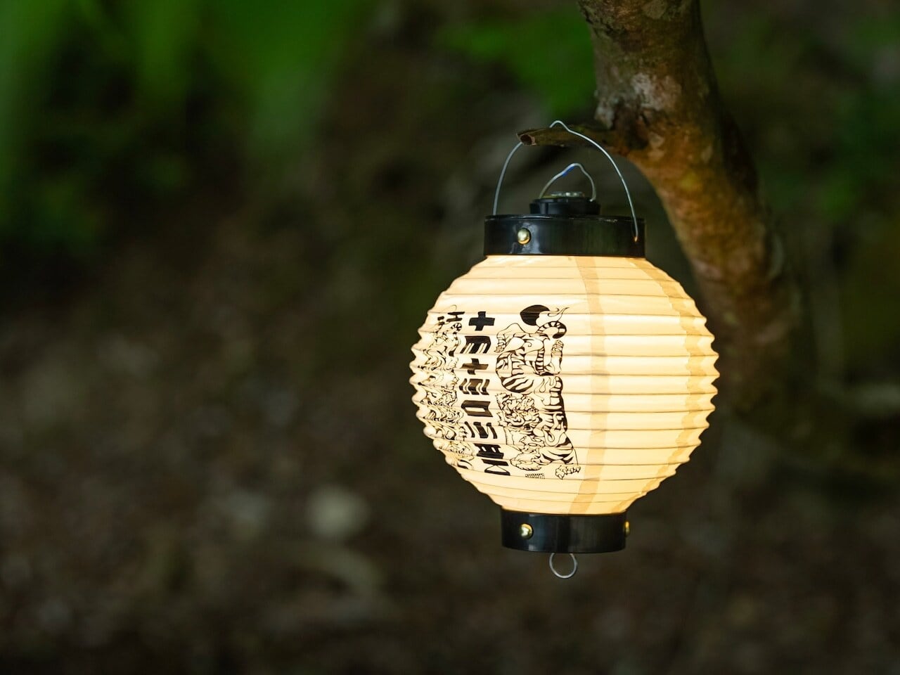 Shim.Craft ランタンスタンド／IGAIGA ウォルナット | OLIVE OUTDOOR