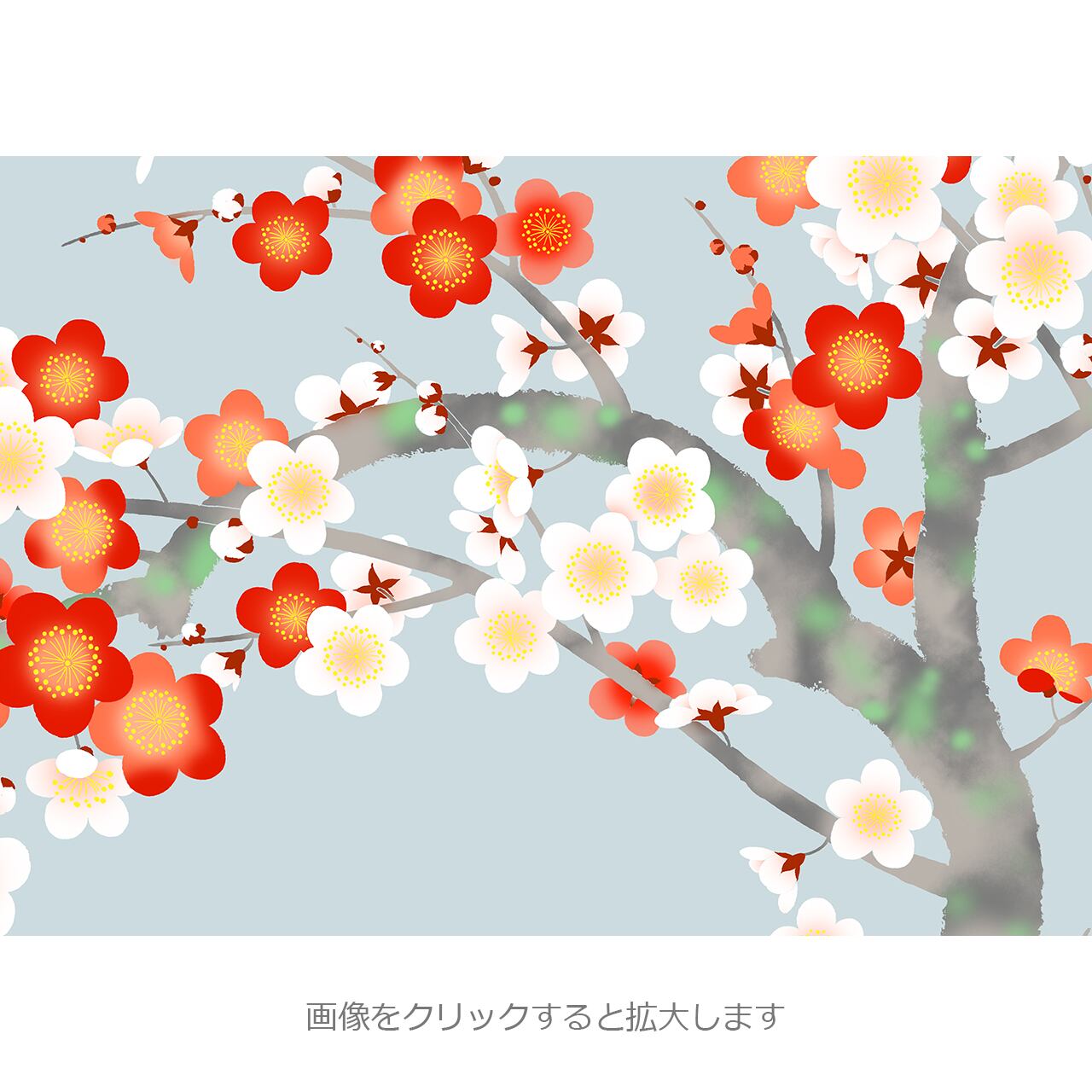 紅白 梅 C・番号R-21 | 襖紙・ふすま紙「和風を極める・オリジナル