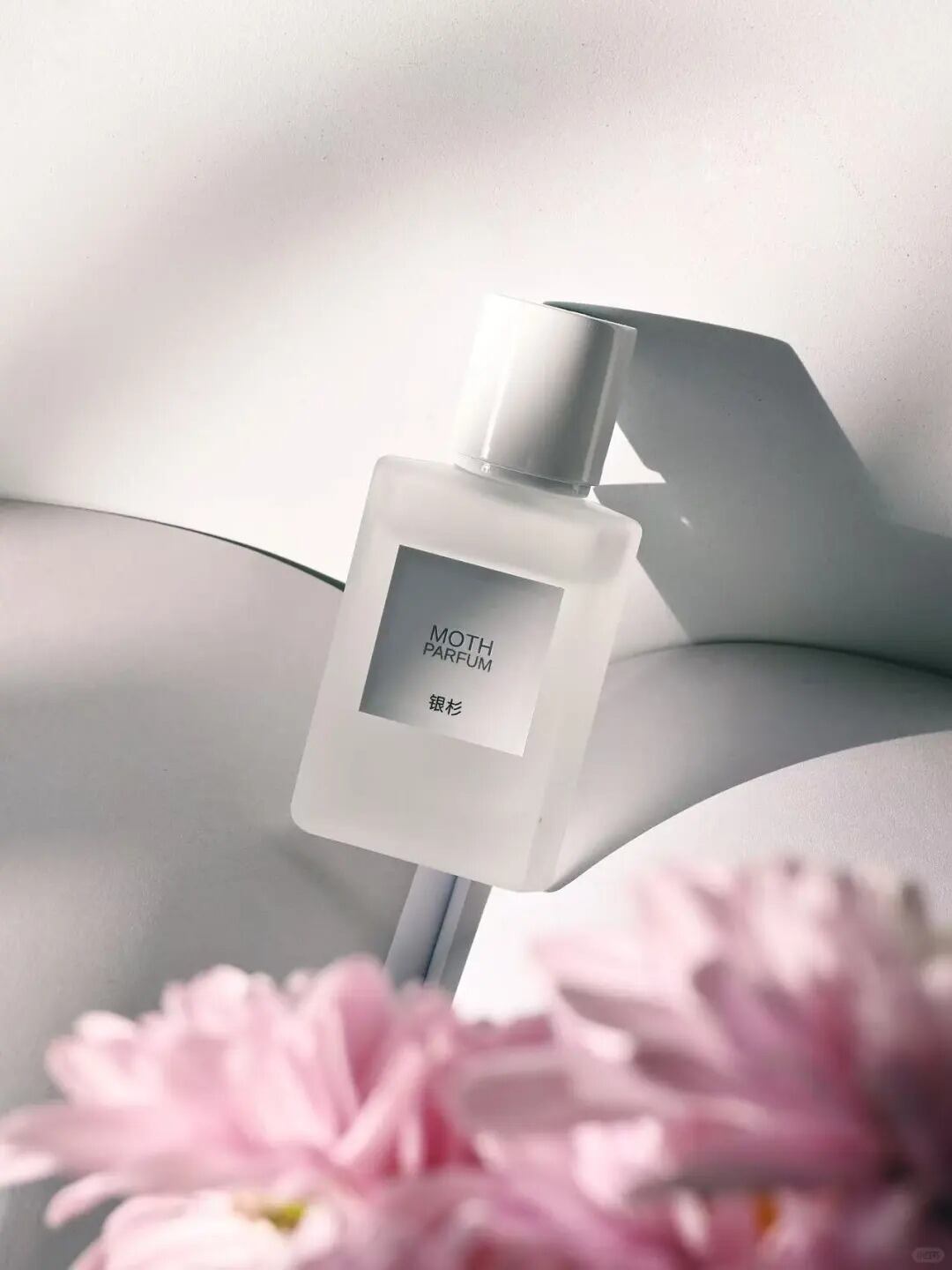 銀杉】MOTH | 香跡万里KOUSEKIBANRI