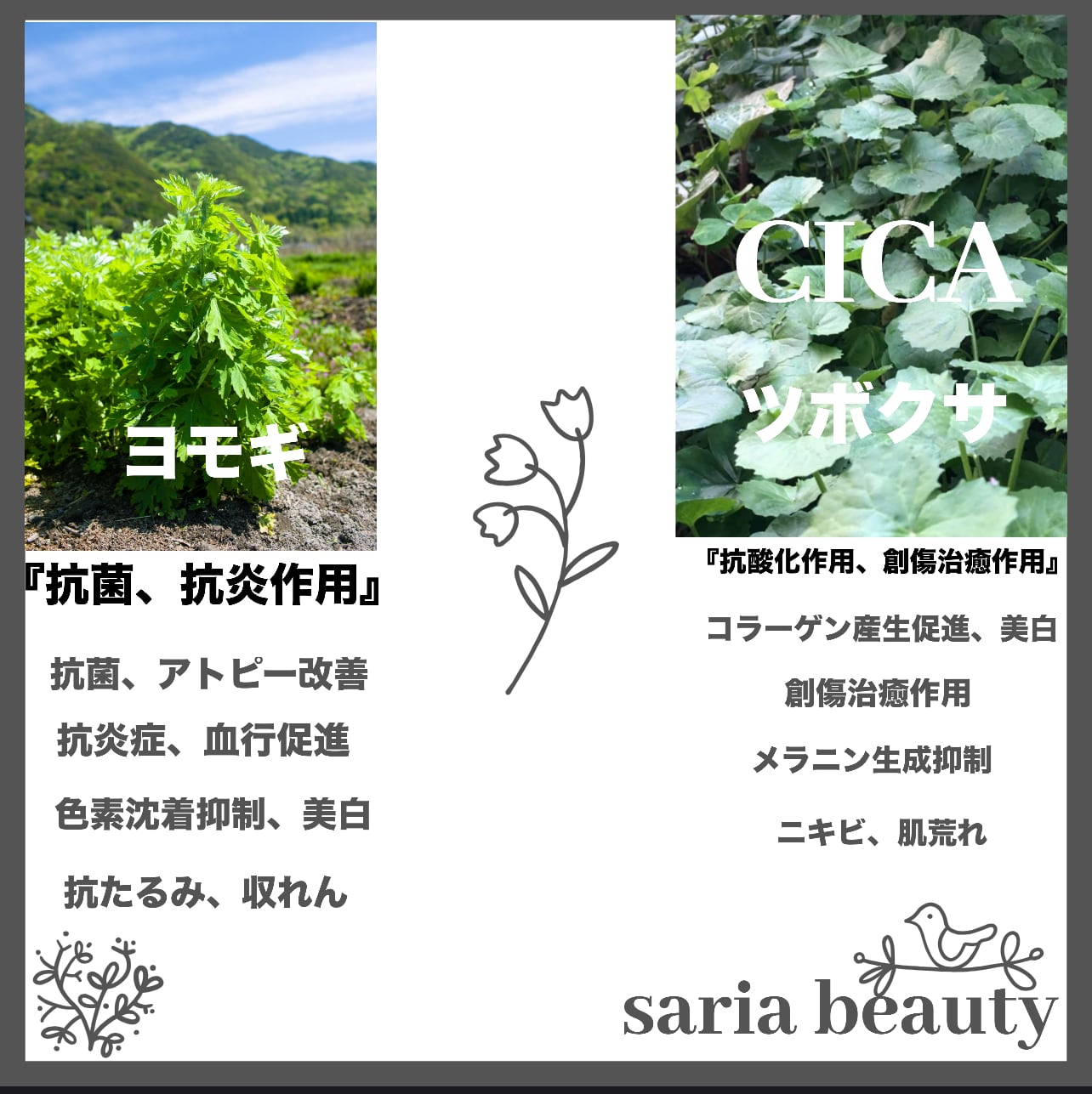 AQUA和漢ハーブピーリング | AQUA herb peeling