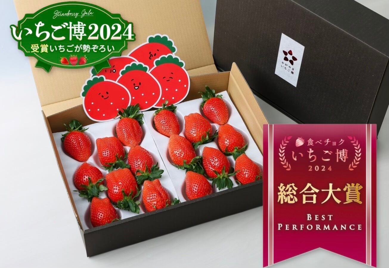 いちごさま専用UNICITYユニシティ【アロエベラ・プロバイオ2箱