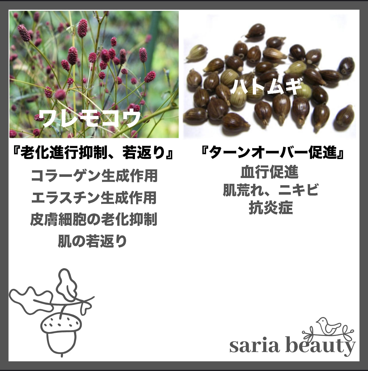 AQUA和漢ハーブピーリング | AQUA herb peeling