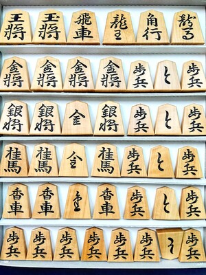 絶版希少 現代詰将棋 短編名作選 中編名作選 セット 絶版希少 現代