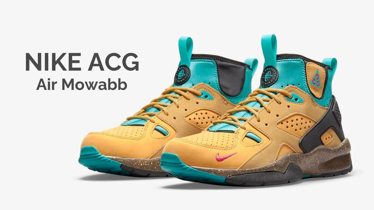 30周年記念】NIKE ACG ナイキ エア モワブ Twine | 靴好きのための靴と