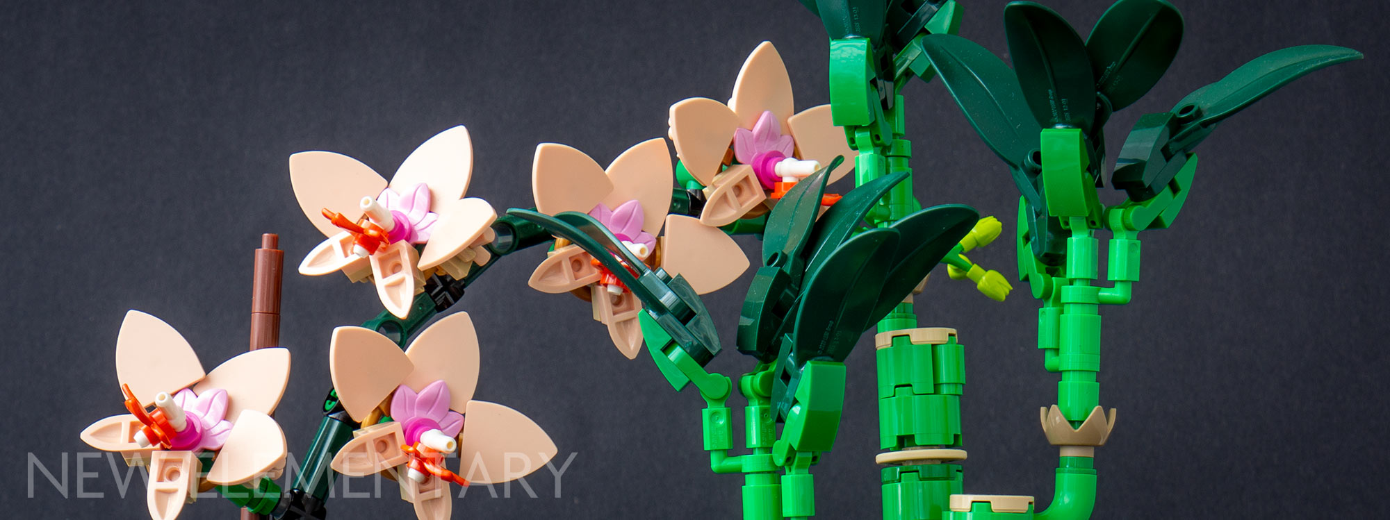 Review: 10343 Mini Orchid and 10344 Lucky Bamboo from LEGO