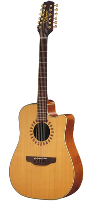 TAKAMINE EAN-46C for sale - Price and Used Value