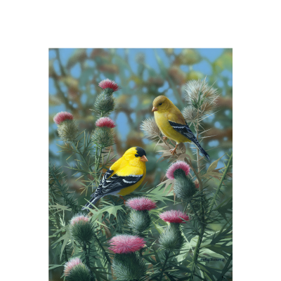 Bradley Jackson | Wildlife Artist