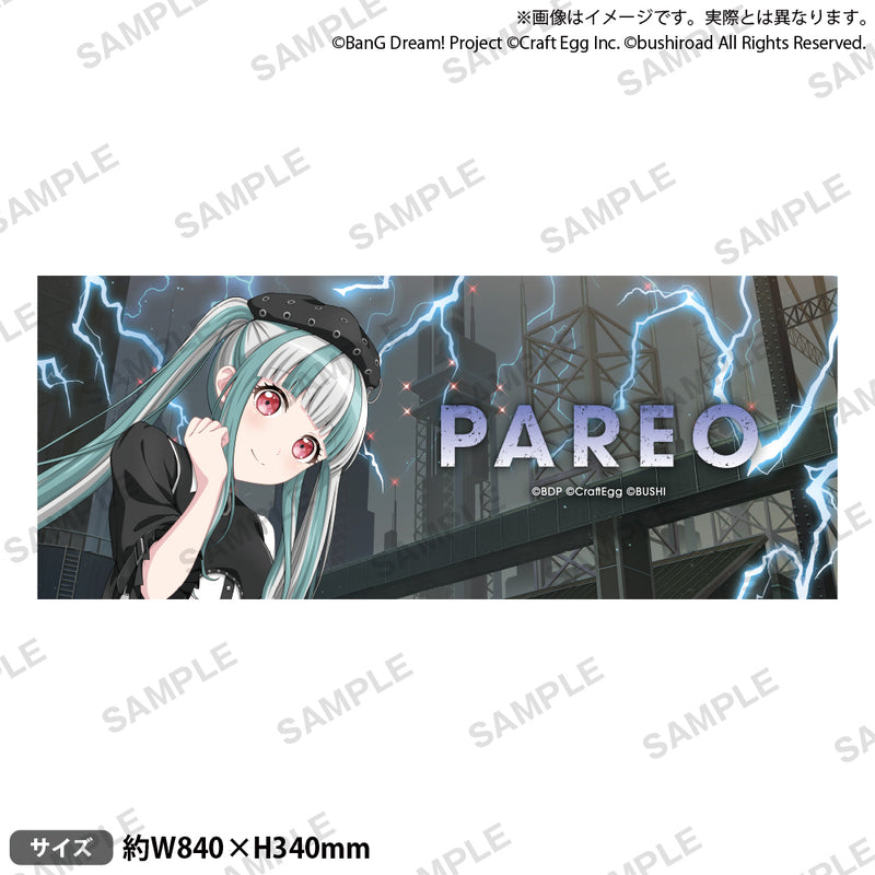 BanG Dream! 12th☆LIVE DAY3:RAISE A SUILEN「REVEAL」 フル