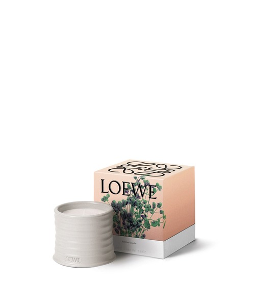 ロエベ キャンドル オレガノ S（キャンドル）｜LOEWE Perfumes