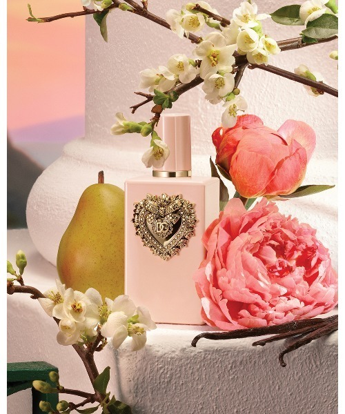 ドルチェ＆ガッバーナ マイ ディヴォーション オードパルファム