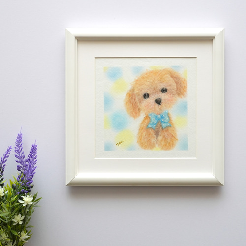 原画】「トイプードル」 犬 動物 パステルアート かわいい イラスト