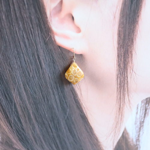 ☆最終半額セール☆大人気☆超希少 フォシルコーラル AAA 化石珊瑚