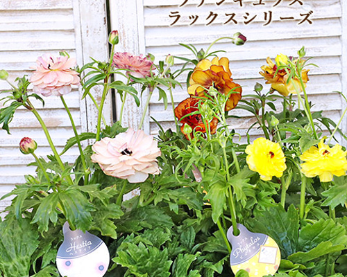 13856a8eb05da8747e563de6361ee8