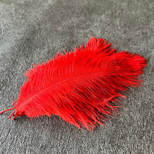 ❤️【オーストリッチ 各色】❤️再入荷❤️ダチョウ ❤️フェザー 羽