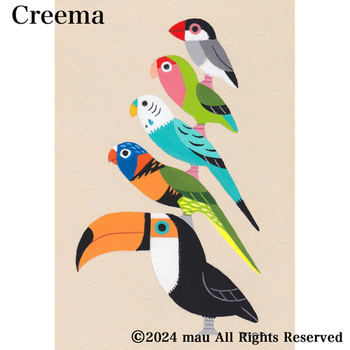 原画「ポップな小鳥ブレーメン アカエリゴシキセイガイインコ