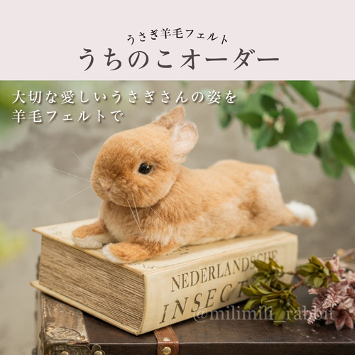 オーダーメイド】Sサイズ うさぎ羊毛フェルト うちのこオーダー 羊毛