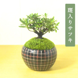 92ad8b138d70f2c31a359e375427fe