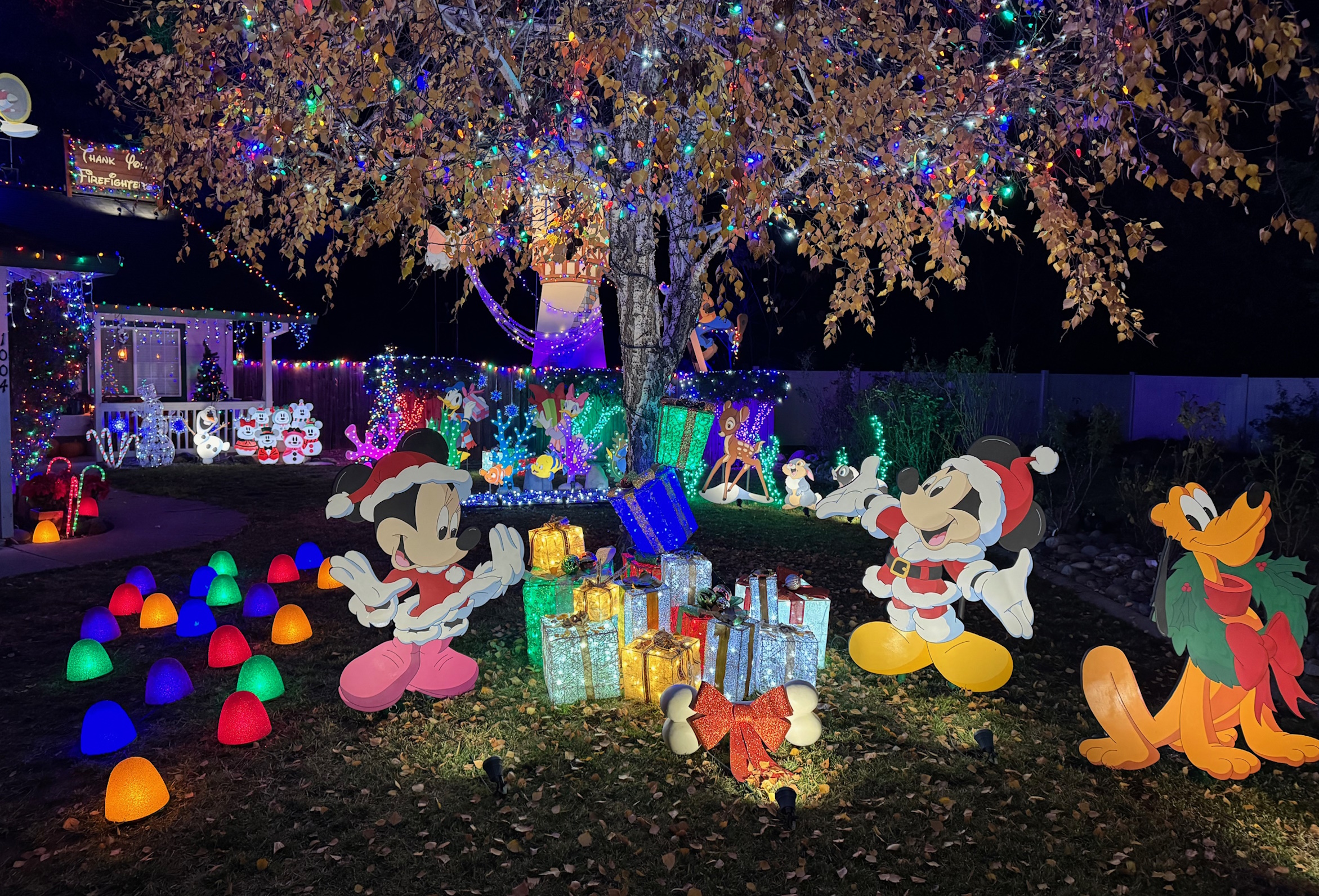 Lindell Disney Christmas Display – California Christmas Lights