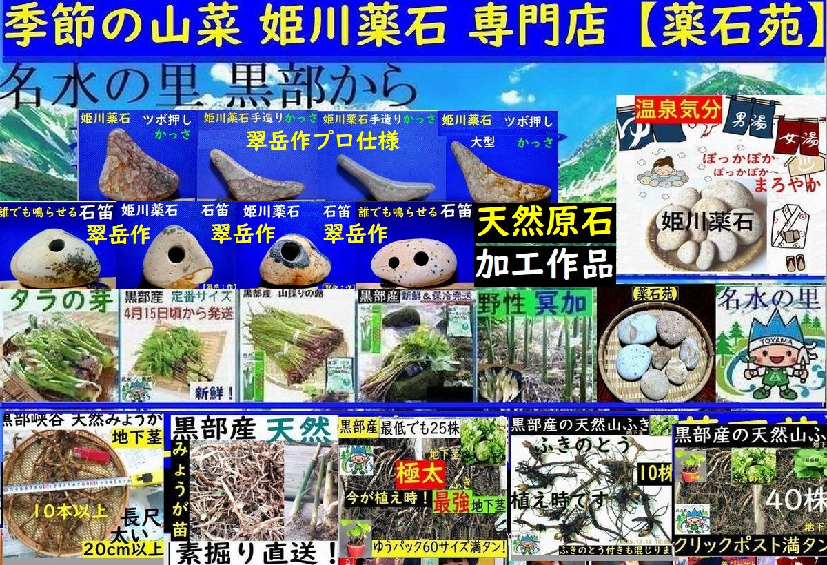 薬石苑】姫川薬石・かっさ・石笛・温浴・季節の山菜＆苗 通販