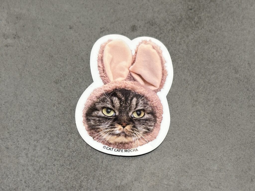 MOCHAにゃんず総選挙2025 世界1位記念グッズのお知らせ | お知らせ