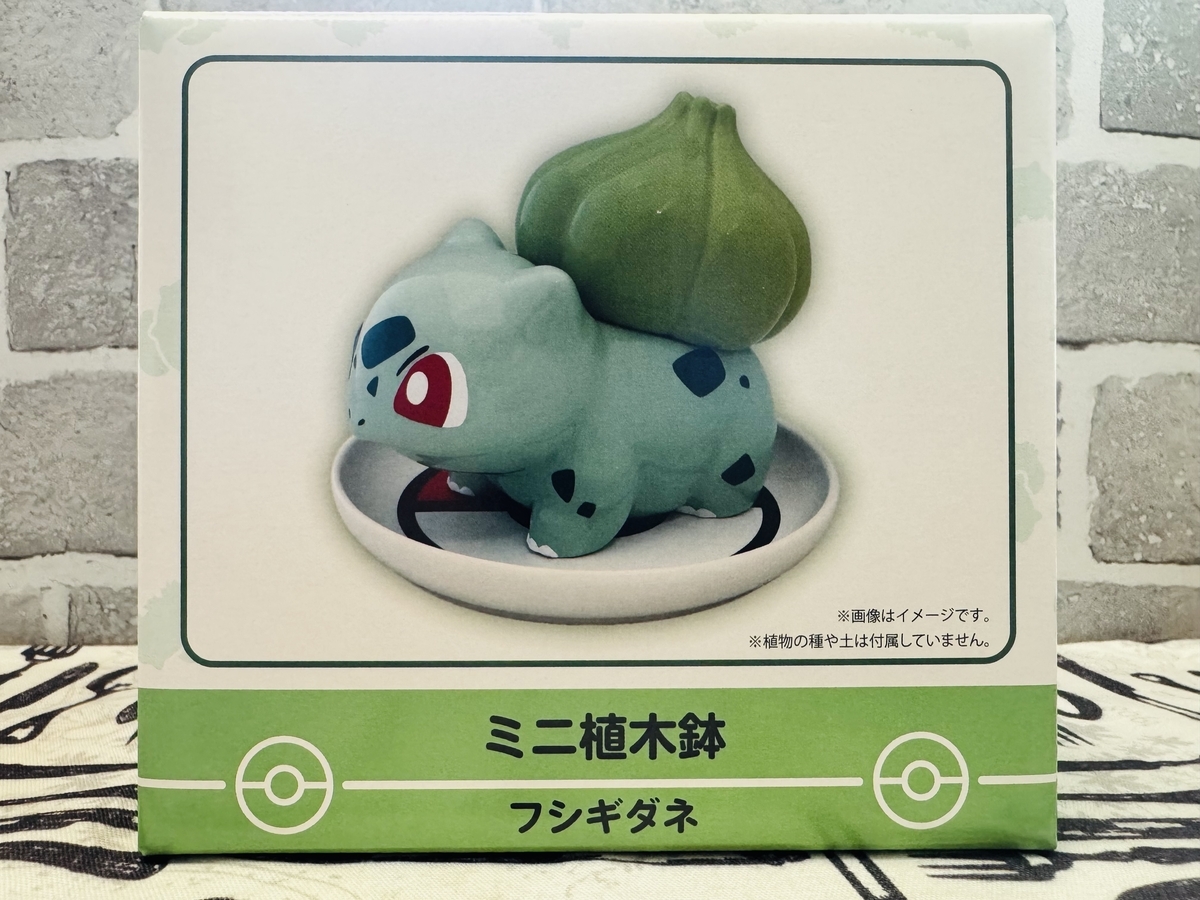 ポケモンセンター】癒しのインテリアとして大人気！「ミニ植木鉢