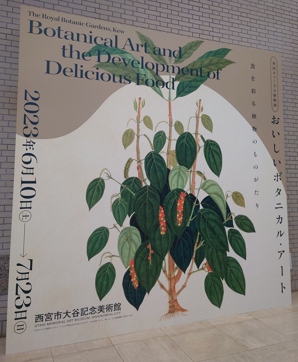 イギリス ボタニカル画の額装品 銅版画に手彩色 1827年 イギリス