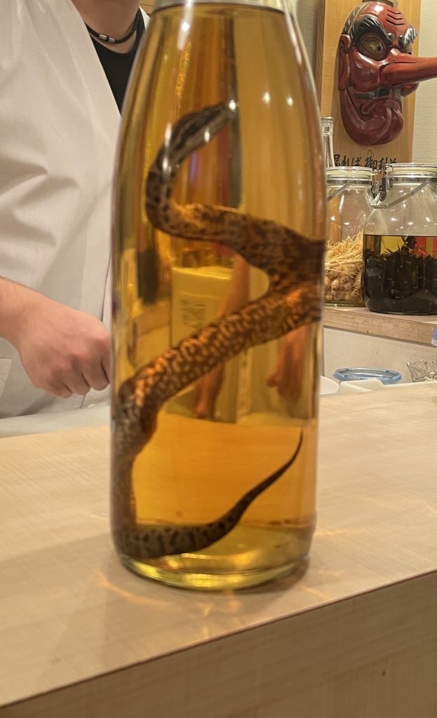 モツの朝立ち」で呑むマムシ酒 - 新薬史観