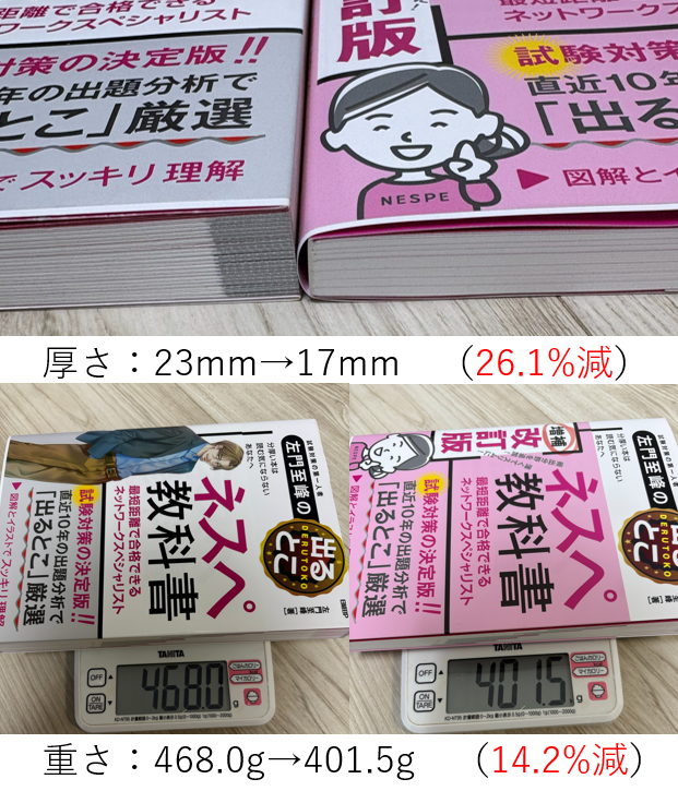 ネットワークスペシャリスト - SE娘の剣 -