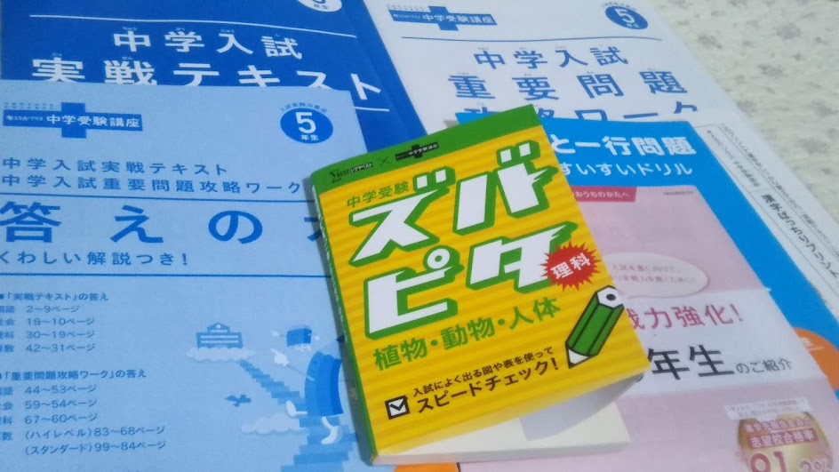 進研ゼミ中学受験講座は5年生2月号から入試実践力養成期！勉強法
