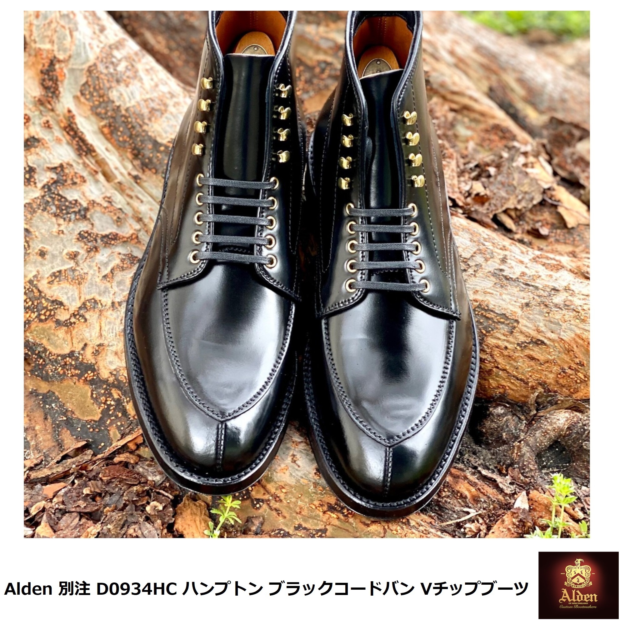 Alden] 別注 D0934HC ハンプトン 黒コードバン Vチップブーツ (ALDEN