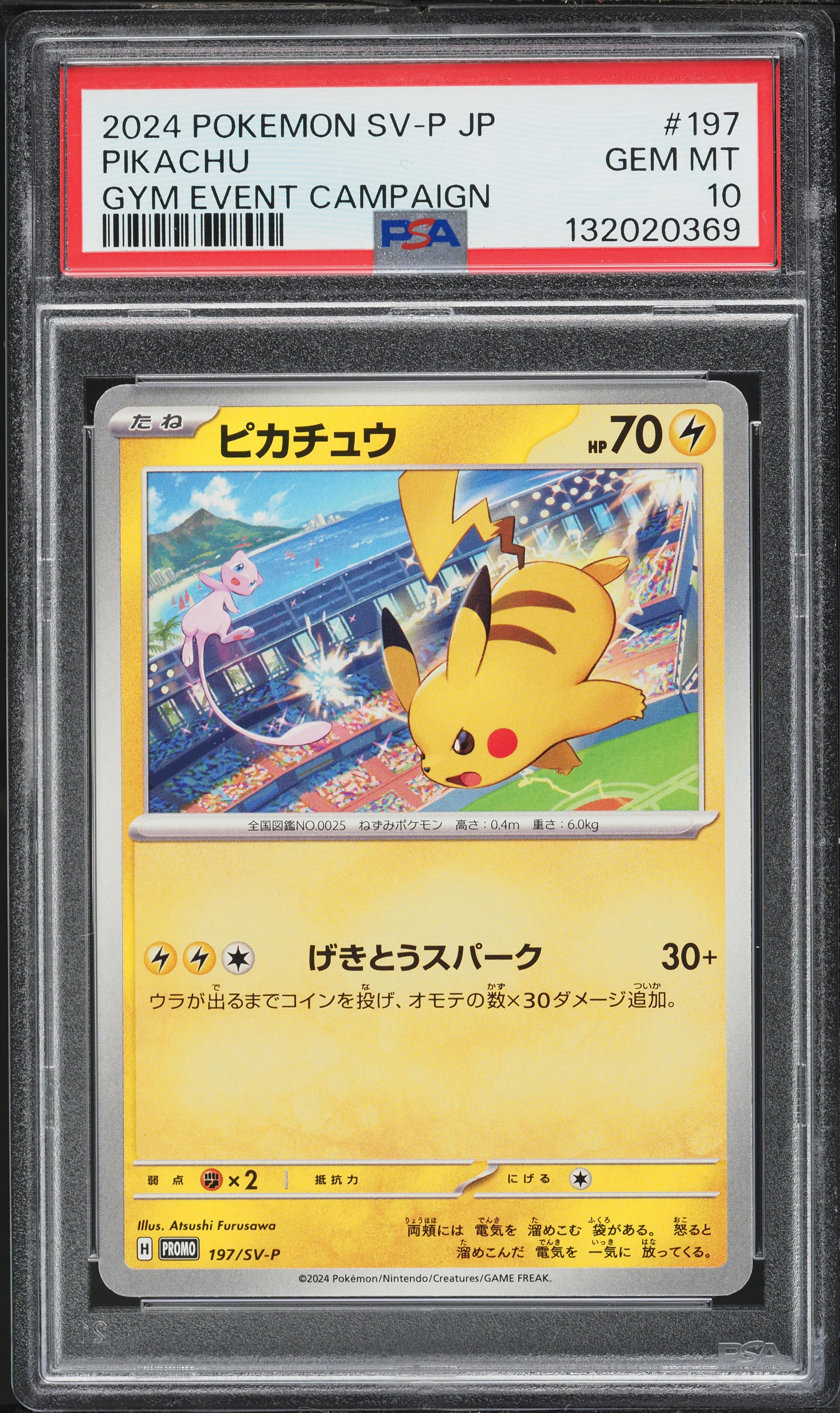 2024 Pokemon Japanese Scarlet & Violet Promo Gym Event Pikachu