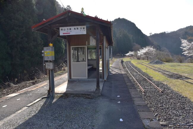 昭和を思い出す因美線美作河井駅の春2021～桜に囲まれた古い駅舎と