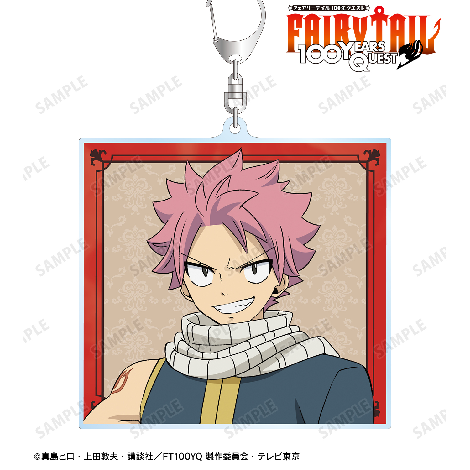 ナツ・ドラグニル 缶 2個セット ナツ・ドラグニル 缶 2個セット ナツ